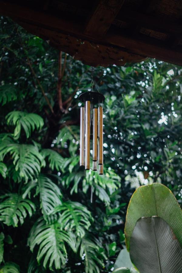 Adara Homestay Banyuwangi  Kültér fotó